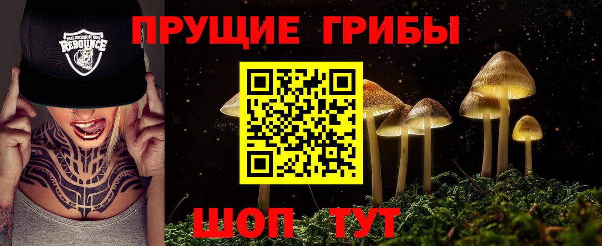 Галлюциногенные грибы MAGIC MUSHROOMS  купить  цена  Мичуринск  Вход с VPN 